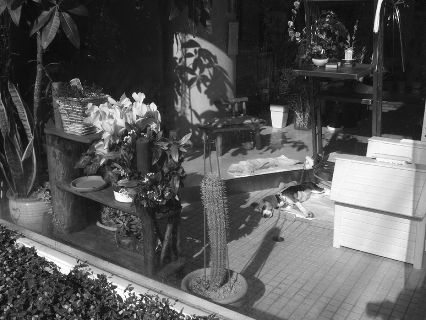 f:id:com:20080106111828j:image