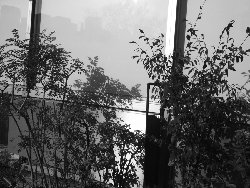 f:id:com:20080204145825j:image