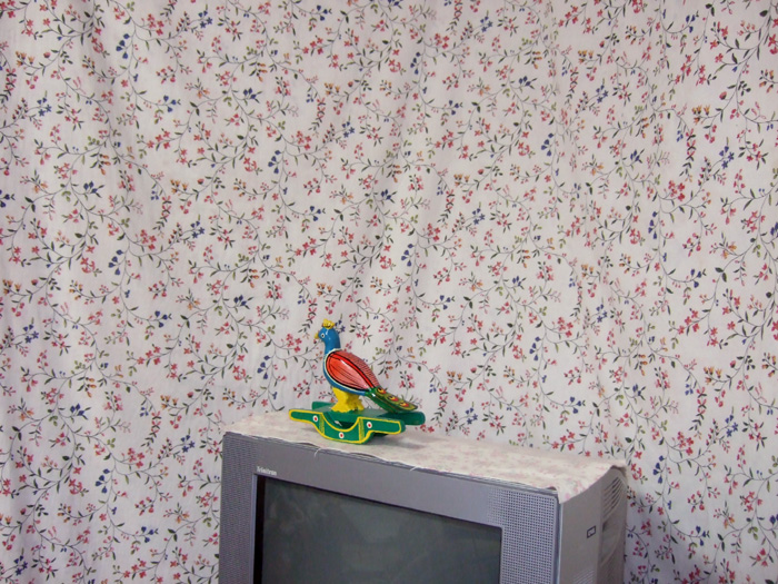 f:id:com:20090412163728j:image