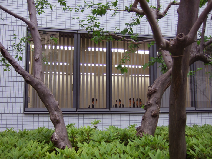 f:id:com:20090422164016j:image