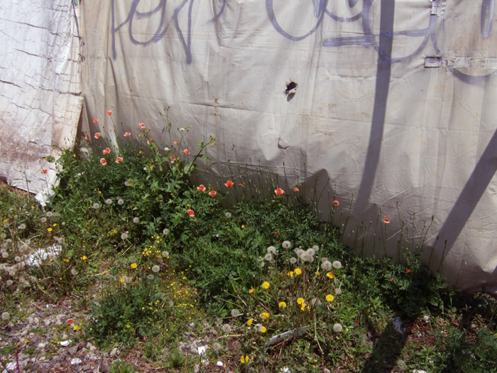 f:id:com:20090423113204j:image