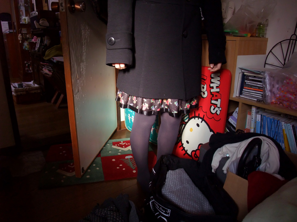 f:id:com:20100104150114j:image