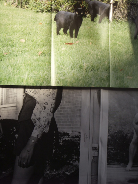 f:id:com:20110312164140j:image