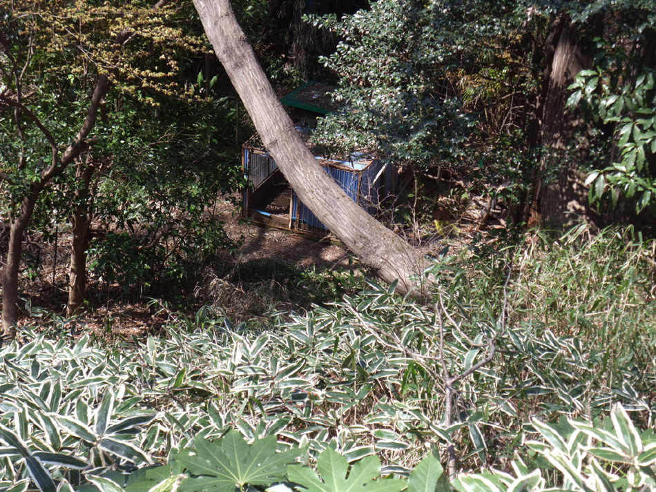 f:id:com:20110328123849j:image