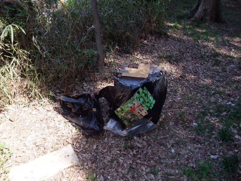 f:id:com:20110413132046j:image