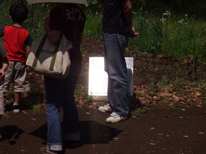 f:id:com:20110508125121j:image