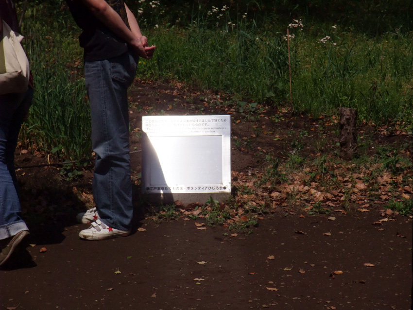 f:id:com:20110508125125j:image