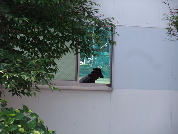 f:id:com:20110518125643j:image