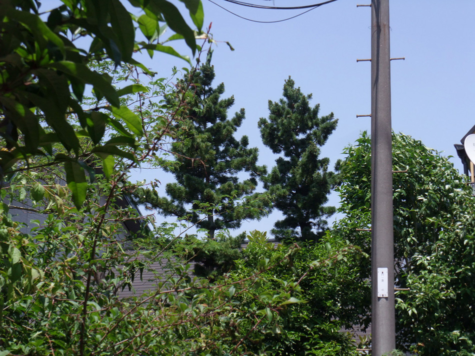 f:id:com:20110519120505j:image