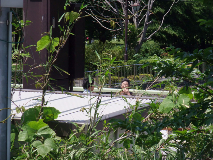 f:id:com:20110519124631j:image