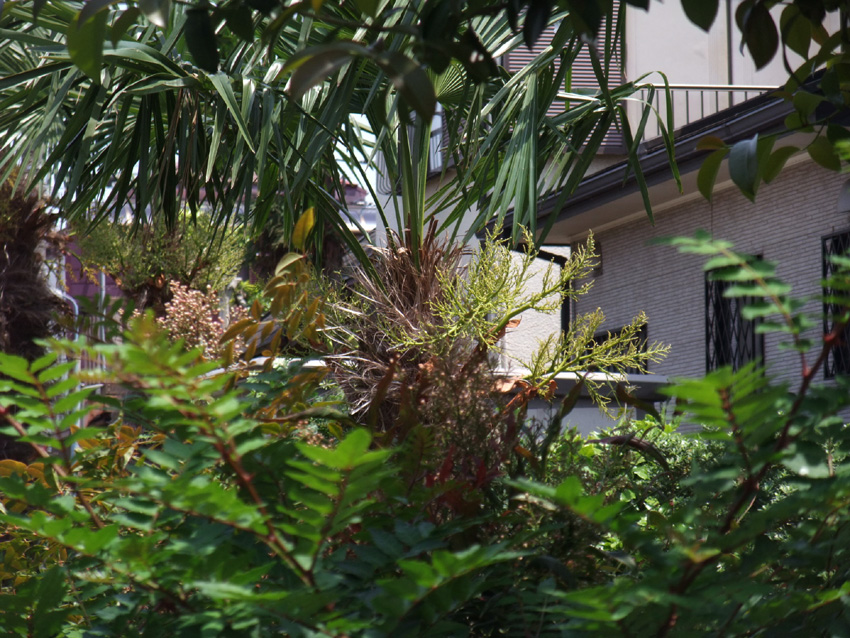 f:id:com:20110520123728j:image