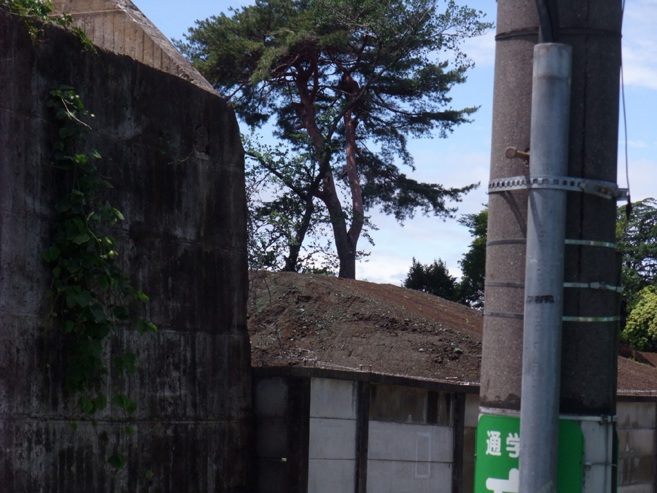 f:id:com:20110530122651j:image