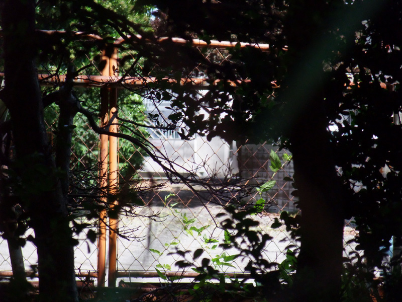 f:id:com:20110530125358j:image