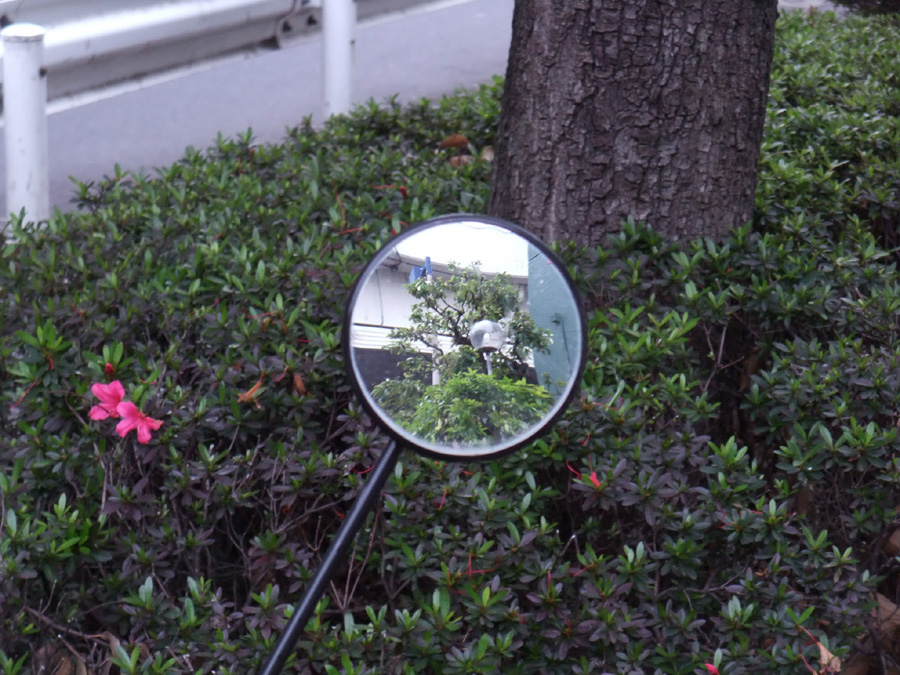 f:id:com:20110531182711j:image