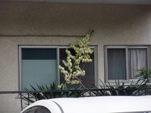 f:id:com:20110603123050j:image