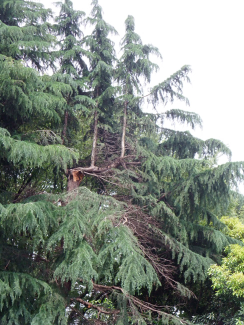 f:id:com:20110603124959j:image