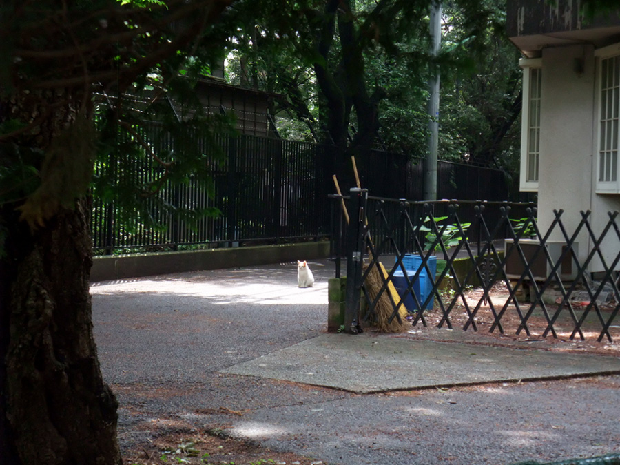 f:id:com:20110603125645j:image