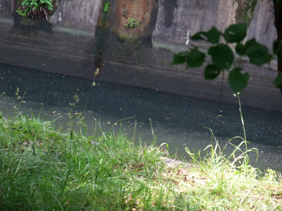 f:id:com:20110604140159j:image