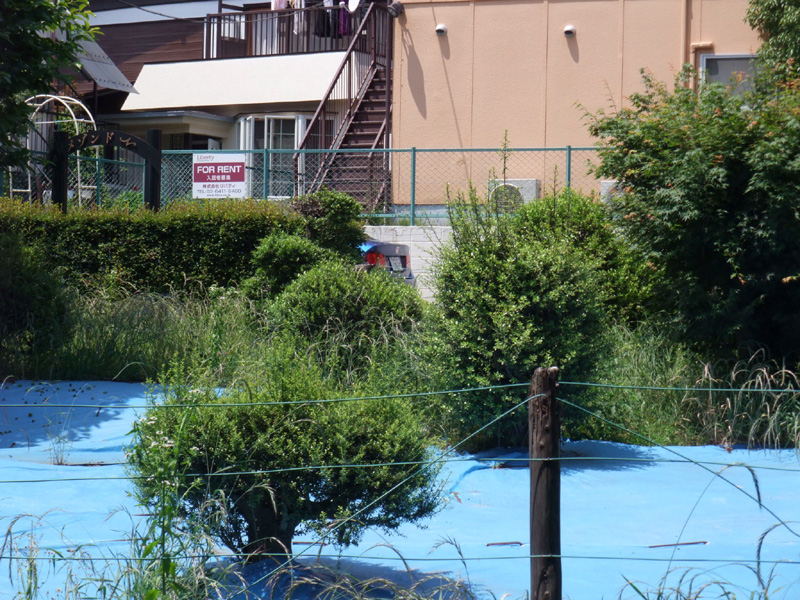 f:id:com:20110606124224j:image