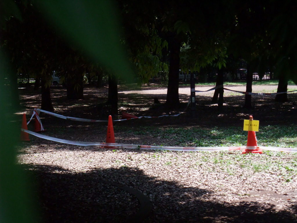 f:id:com:20110606130054j:image