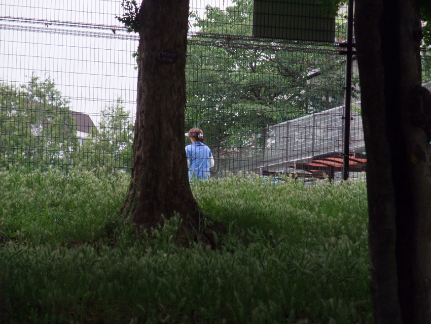 f:id:com:20110609124434j:image
