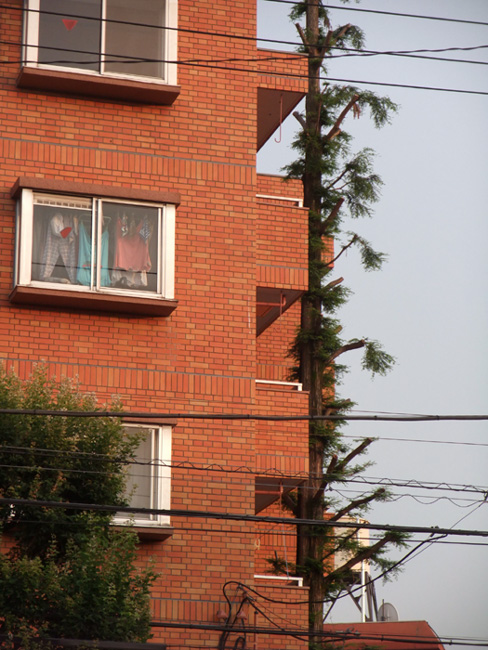 f:id:com:20110613181310j:image