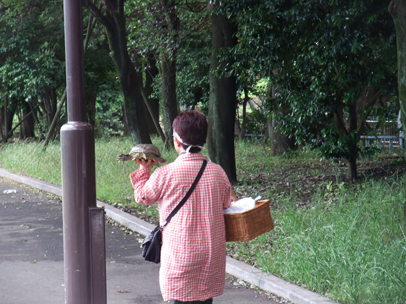 f:id:com:20110621125221j:image