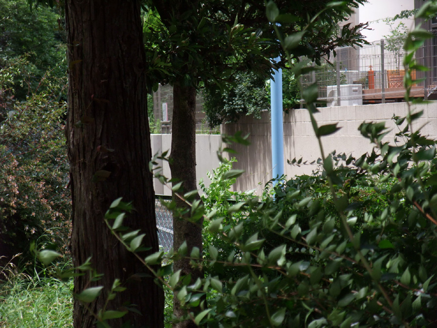 f:id:com:20110624124456j:image