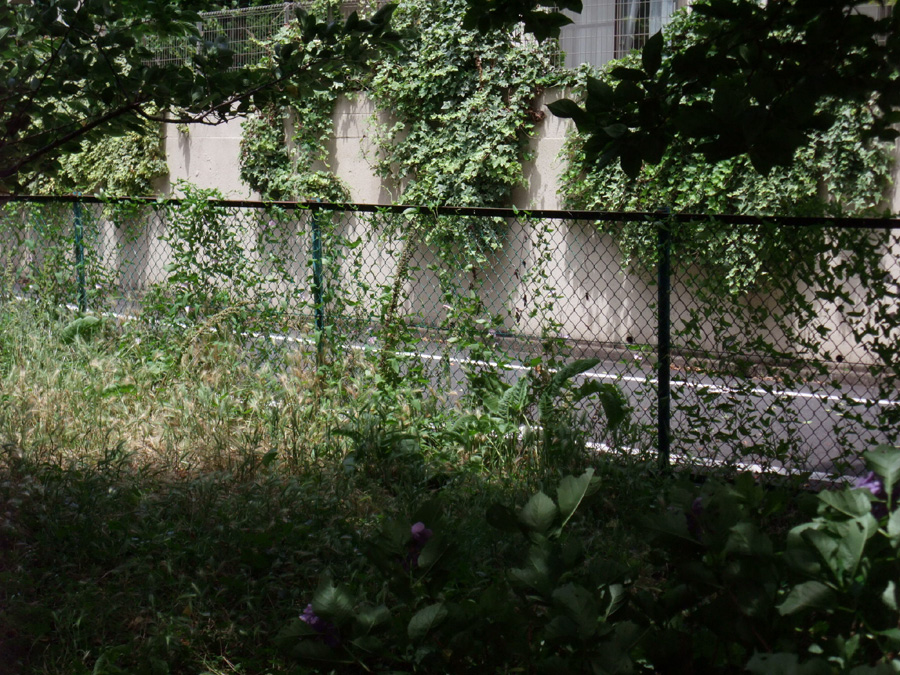 f:id:com:20110624125002j:image