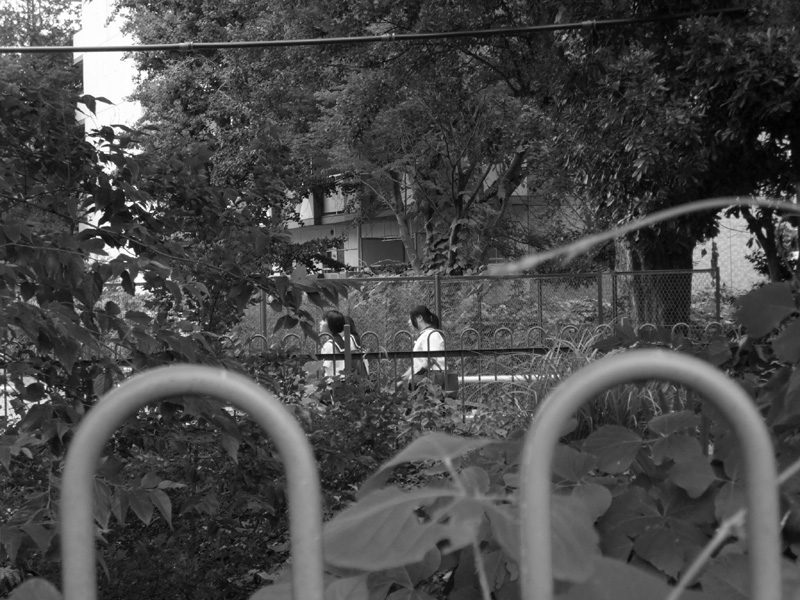 f:id:com:20110723161153j:image