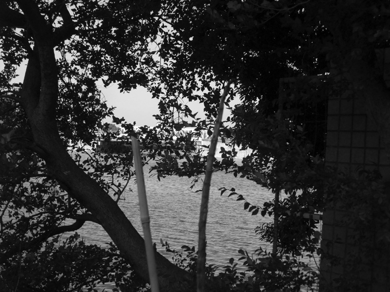 f:id:com:20110810153918j:image