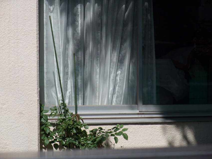 f:id:com:20110913124454j:image
