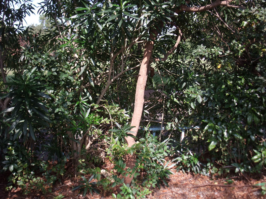 f:id:com:20111012120849j:image