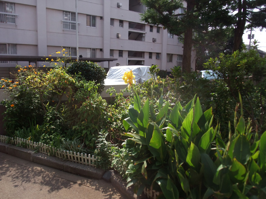 f:id:com:20111012123744j:image