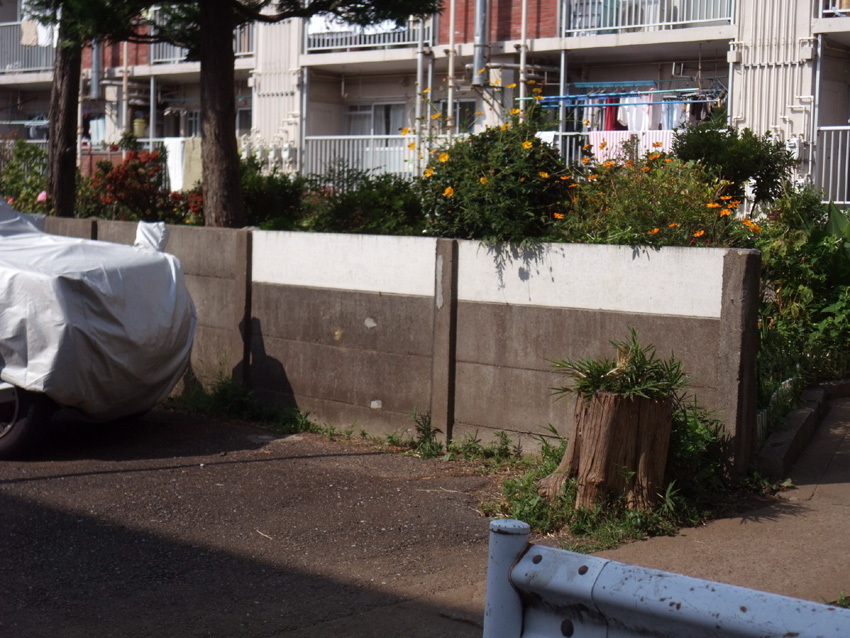 f:id:com:20111012123847j:image