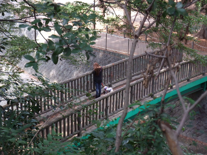 f:id:com:20111012124903j:image
