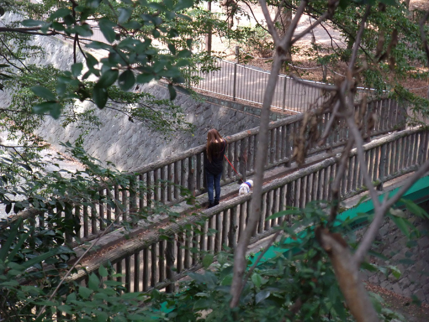 f:id:com:20111012124908j:image