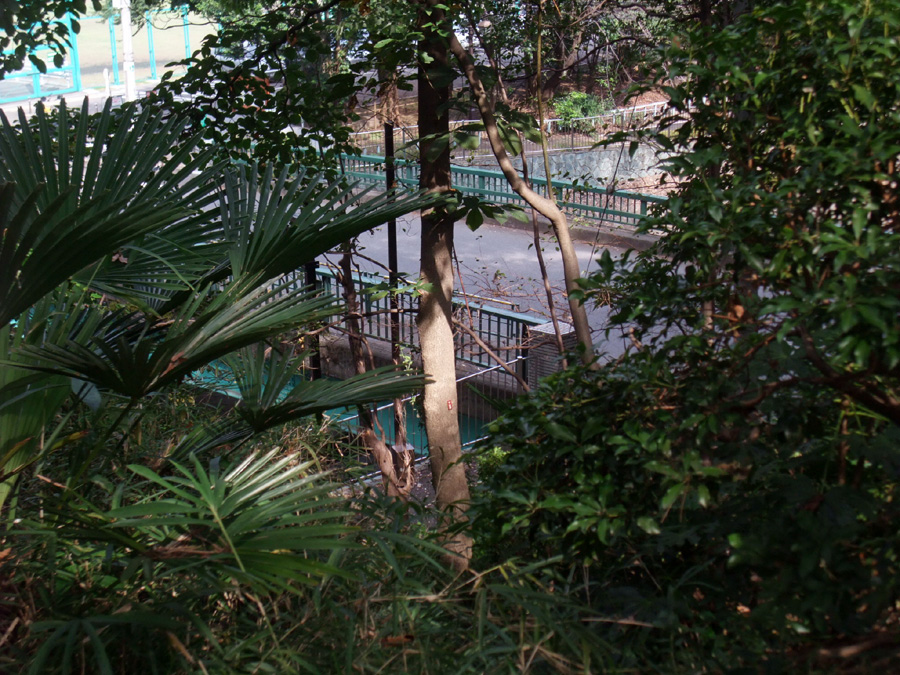 f:id:com:20111012125402j:image