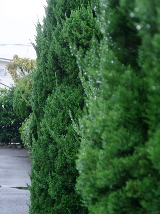 f:id:com:20111022121403j:image