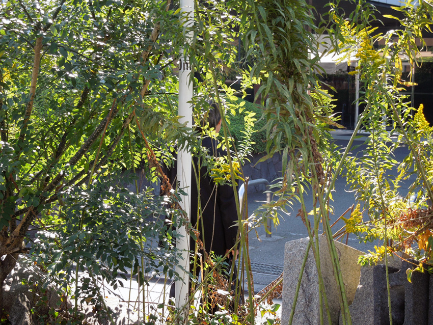 f:id:com:20111028094811j:image