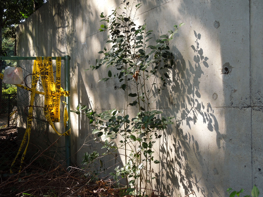 f:id:com:20111028125653j:image