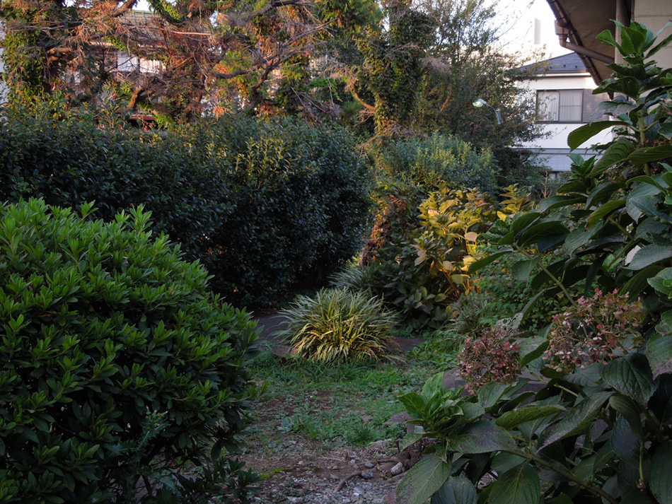f:id:com:20111028155608j:image