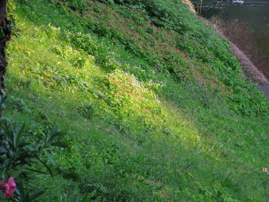 f:id:com:20111029154143j:image