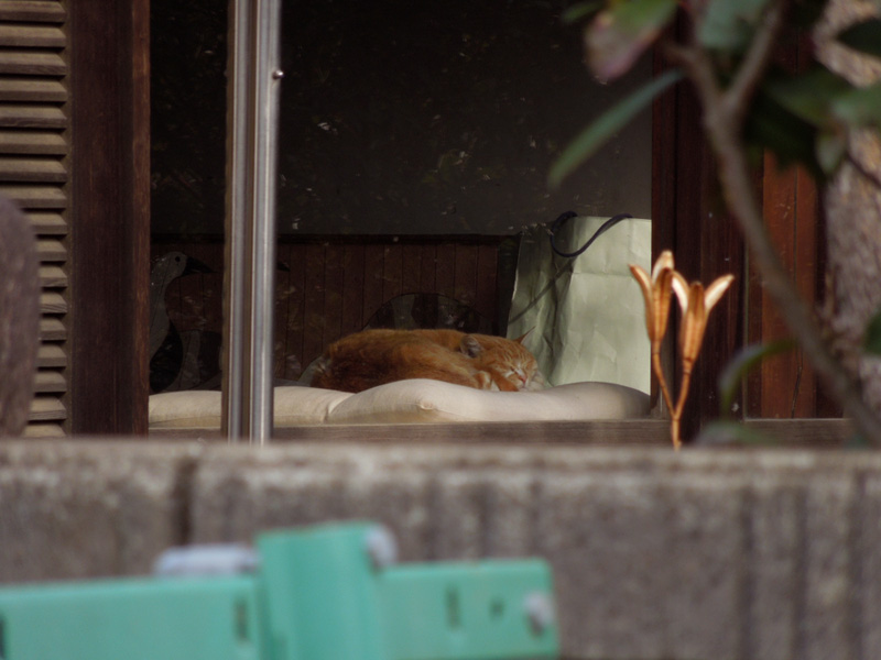 f:id:com:20120119122200j:image