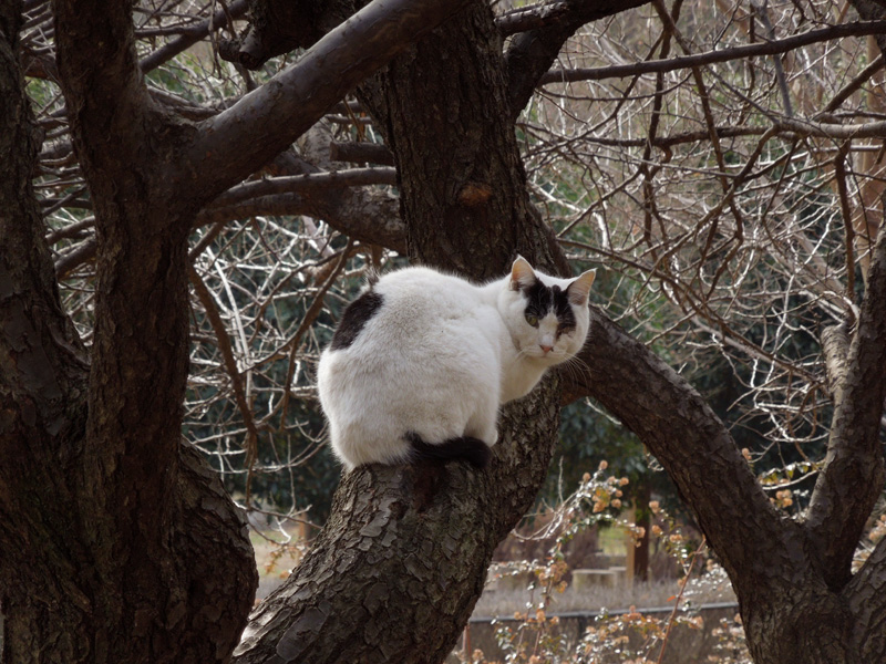 f:id:com:20120119122734j:image