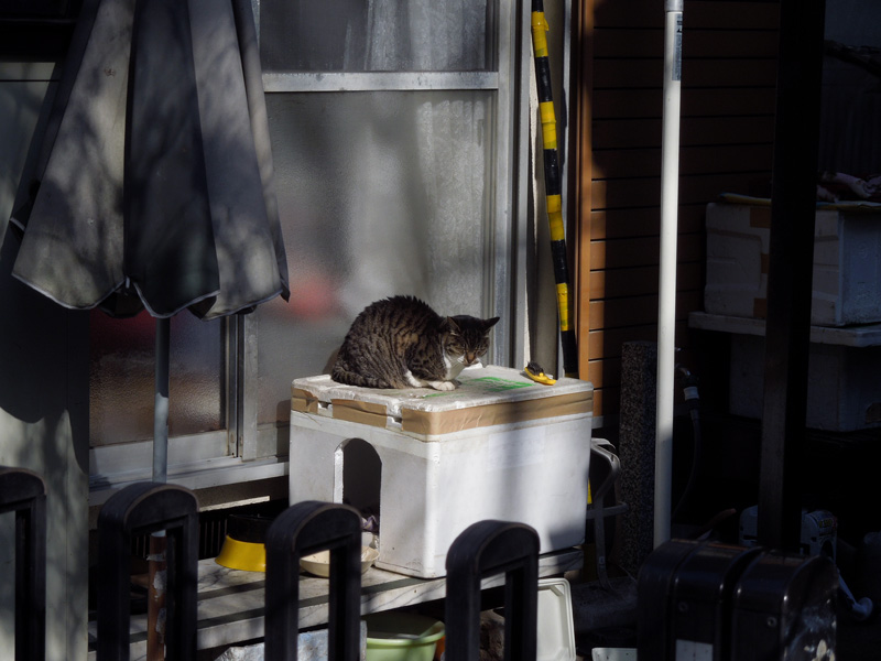 f:id:com:20120124113916j:image