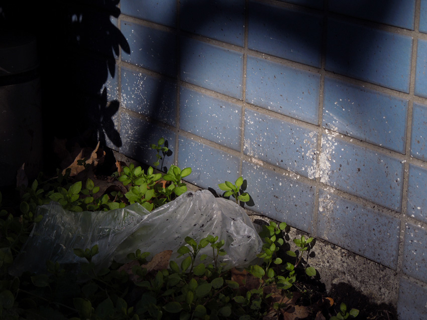 f:id:com:20120126120517j:image