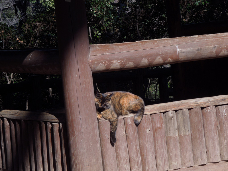 f:id:com:20120126125304j:image
