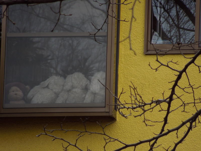 f:id:com:20120201124343j:image