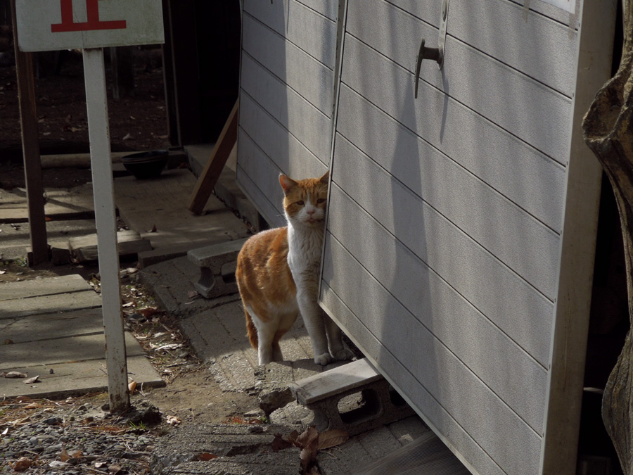 f:id:com:20120202123947j:image
